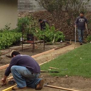 New path is created with wooden frame