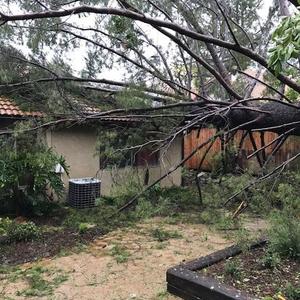 Fallen tree lies on the roof of the house